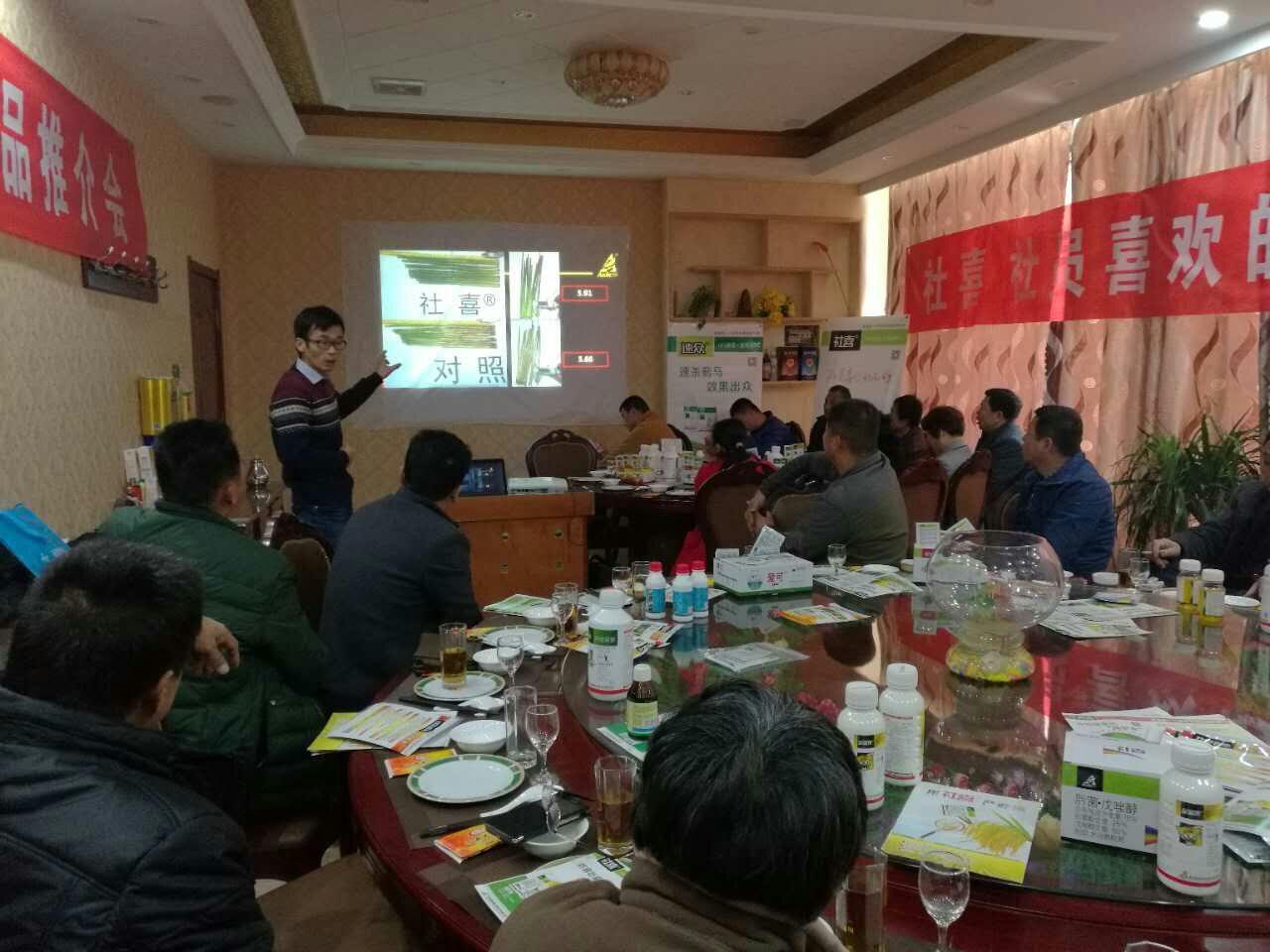 雛鷹蛻變，服務先行