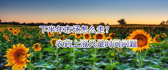 下半年市場(chǎng)怎么走？農(nóng)藥上漲只是時(shí)間問(wèn)題