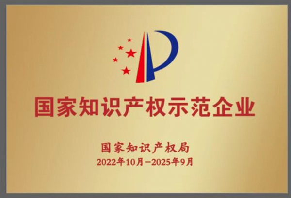 祝賀！集團(tuán)獲評(píng)2022年度國家知識(shí)產(chǎn)權(quán)示范企業(yè)