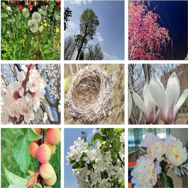 滕潤翔“向上的力量，怒放的生命”主題活動落地  